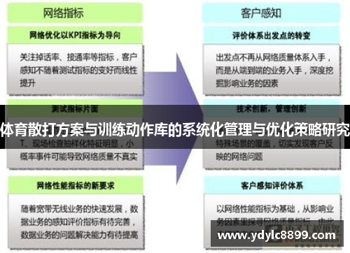 体育散打方案与训练动作库的系统化管理与优化策略研究
