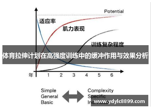 体育拉伸计划在高强度训练中的缓冲作用与效果分析